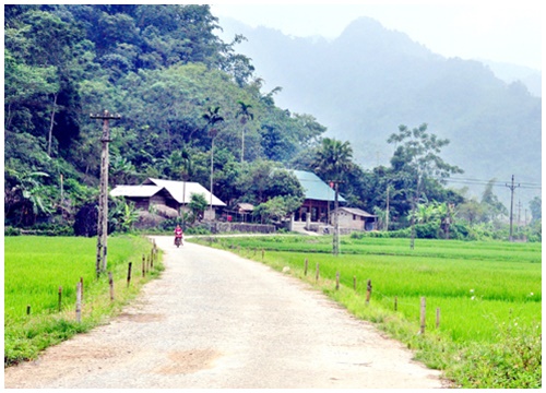 Đời vốn nhọc nhằn, ta cứ 'bình tĩnh sống'