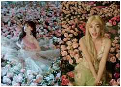 MV mới của Tiffany Young khá giống sản phẩm cũ của Taeyeon, fan đoán ngụ ý đằng sau là gì?