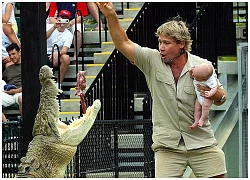 Peta lên án Google vì tưởng nhớ Steve Irwin: &#8220;Anh ta đã chết trong khi quấy rối một con cá đuối gai độc&#8221;