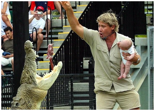 Peta lên án Google vì tưởng nhớ Steve Irwin: "Anh ta đã chết trong khi quấy rối một con cá đuối gai độc"