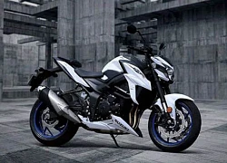 Suzuki GSX-S750 2019 có giá 242 triệu đồng