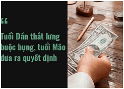 Tử vi ngày (27/2/2019) về tài chính của 12 con giáp: Tuổi Hợi không phải cỗ máy kiếm tiền