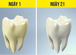 Điều gì sẽ xảy ra nếu bạn ngưng uống rượu bia trong 28 ngày?