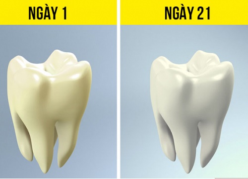 Điều gì sẽ xảy ra nếu bạn ngưng uống rượu bia trong 28 ngày?