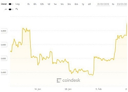 Giá Bitcoin chờ cú hích sau 2 tháng đầu năm ảm đạm