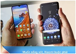 Nhìn thấu bản chất: Vì sao Samsung bỗng dưng lại "đánh xuống", và Xiaomi lại "đánh lên" vào cùng một thời điểm?