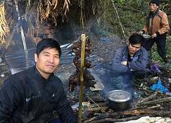 &#8220;Vương quốc&#8221; của loài lợn ẩn hiện như ma rừng trên nóc nhà Đông Dương