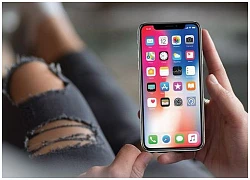 Apple sụt giảm tại Việt Nam, "miếng bánh lớn" rơi vào tay ai?