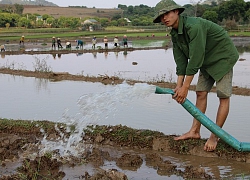 Cảnh tấp nập mùa nước đổ trên các bản vùng cao Sơn La