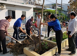 Đà Nẵng: Nông dân hưởng ứng trồng cây xanh ở các tuyến đường