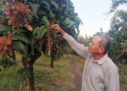 Hội cùng nông dân ứng phó biến đổi khí hậu