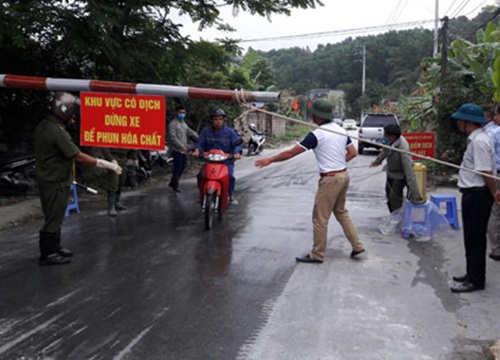 Ngăn dịch tả lợn châu Phi: Tăng kiểm soát tại chỗ