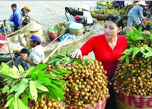 Nông sản sang Trung Quốc: Cửa vẫn rộng nếu không 'chộp giật'