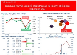 Tiền luân chuyển sang Midcap và Penny, khối ngoại bán mạnh VGC