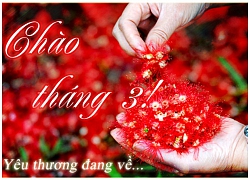 Xem tử vi tháng 3/2019 của 12 con giáp chuẩn xác nhất: Tuổi Thân đại phát tài, Mão bấp bênh...