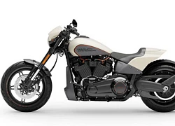 Cận cảnh môtô Harley-Davidson giá 799,5 triệu tại Việt Nam