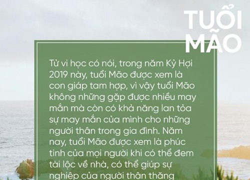 Năm nay có 3 con giáp là phúc tinh cho gia đình, giữa năm sự nghiệp thăng hoa vững chắc, cuối năm tiền vô như nước, giàu có hưng thịnh