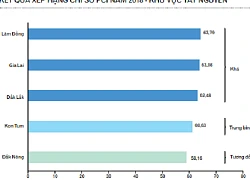 PCI năm 2018: Lâm Đồng dẫn đầu khu vực Tây Nguyên