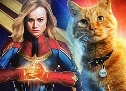 Review cực ngắn "Captain Marvel": "Boss" Goose chiếm sóng, đáng yêu át phần thiên hạ