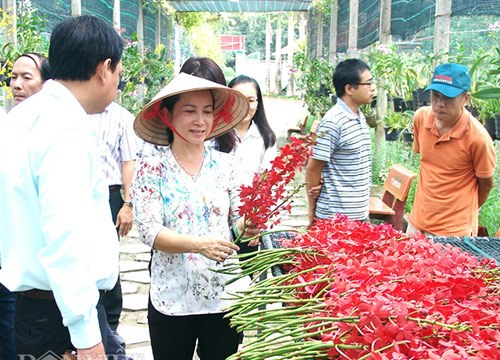 TP. HCM: Đưa nông dân xuất ngoại học... nghề nông