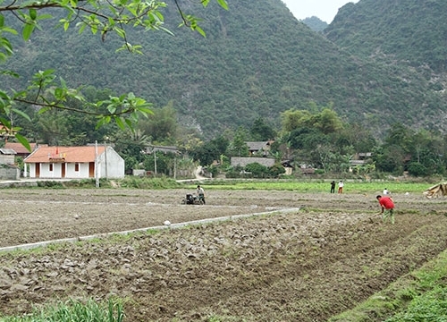 Võ Nhai nỗ lực khắc phục tình trạng chi bộ ghép