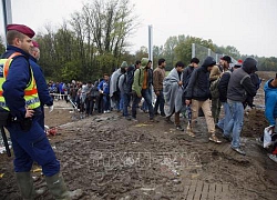 Bosnia Herzegovina lo ngại làn sóng di cư mới