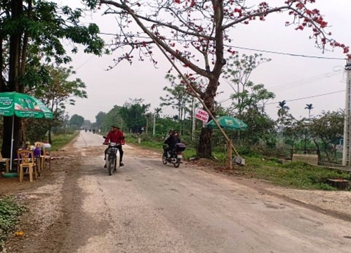 Cán bộ ngồi đánh bài trong chòi tại chốt kiểm dịch tả heo châu Phi