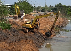 Đồng bộ các biện pháp phòng, chống dịch tả lợn châu Phi