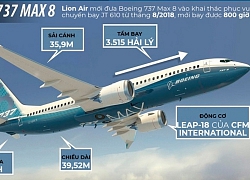 "Giông bão" bủa vây Boeing sau hai vụ rơi máy bay 737 Max 8 liên tiếp?