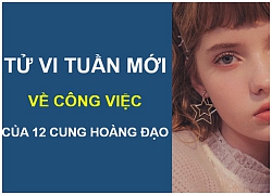 Tử vi tuần mới (11/3 - 17/3) về công việc của 12 cung hoàng đạo: Bảo Bình đột phá, Nhân Mã nhận thưởng