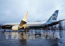 Cục Hàng không Việt Nam: Chưa có hãng nào của Việt Nam khai thác Boeing 737 Max