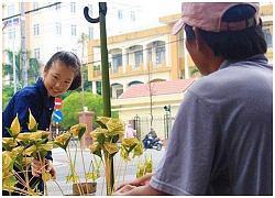 Độc đáo: Hoa hồng được làm từ lá dừa nước non mang màu sắc "lạ"