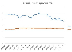 Ngân hàng Nhà nước lần đầu gọi thầu tín phiếu trong năm nay