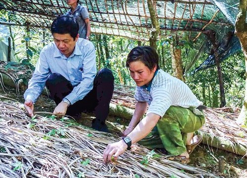 Quảng Nam: Gập gềnh đường du lịch vùng sản vật trời ban