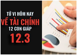 Tử vi hôm nay (12/3/2019) về tài chính của 12 con giáp: Tuổi Hợi cẩn thận bị thao túng