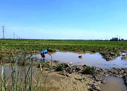 Đi bắt ốc, một phụ nữ và hai cháu nhỏ chết đuối thương tâm