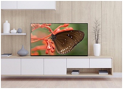 Điều gì làm bạn quyết định chọn mua Sony OLED TV?