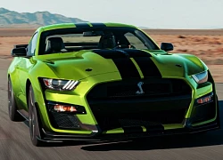 Ford Mustang 2020 khoác áo Grabber Lime nhân Ngày thánh Patriciô