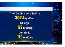 Khai sai mã số, VEAM bị Hải quan Hà Nội ấn định thuế hơn 352 tỷ đồng