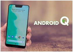 Những thông tin cần biết về Android Q Beta 1 và cách đăng ký dùng thử