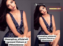 Phản ứng đáng yêu của Hoàng Thùy khi 'lần thứ n' được xem là Miss Universe Vietnam 2019!