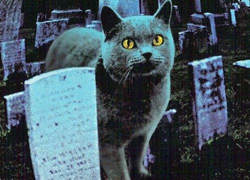 Review sớm 'Pet Sematary - Nghĩa địa thú cưng' của Stephen King: Đen tối, đáng sợ, tàn nhẫn!