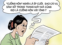 Biếm họa 'cưỡng hôn'