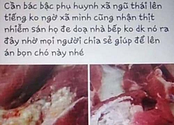 Đăng tin sai vụ sán lợn, thanh niên ở Bắc Ninh đối mặt án hình sự?