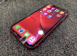 iPhone XR cũ 15 triệu về ồ ạt, người dùng VN chê đắt