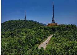 'Lên rừng, xuống biển' để khám phá vẻ tiềm ẩn của bán đảo Sơn Trà, Đà Nẵng