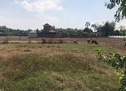 Mất tiền tỷ mua nhà trên giấy, người dân 'ngậm quả đắng' vì bị lừa đảo