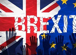 Mỗi doanh nghiệp xã hội hỗ trợ cho 2.000 người/EC thông qua biện pháp dự phòng nếu Brexit xảy ra không có thỏa thuận