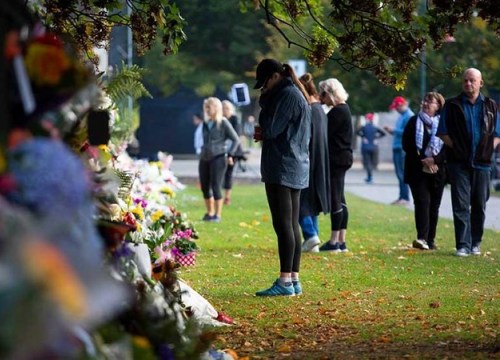 New Zealand: Nuôi chó cũng phải đăng ký nhưng súng thì không