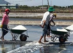 Nơi có hạt muối ngon, cùng với cá cơm làm nên nước mắm Phú Quốc